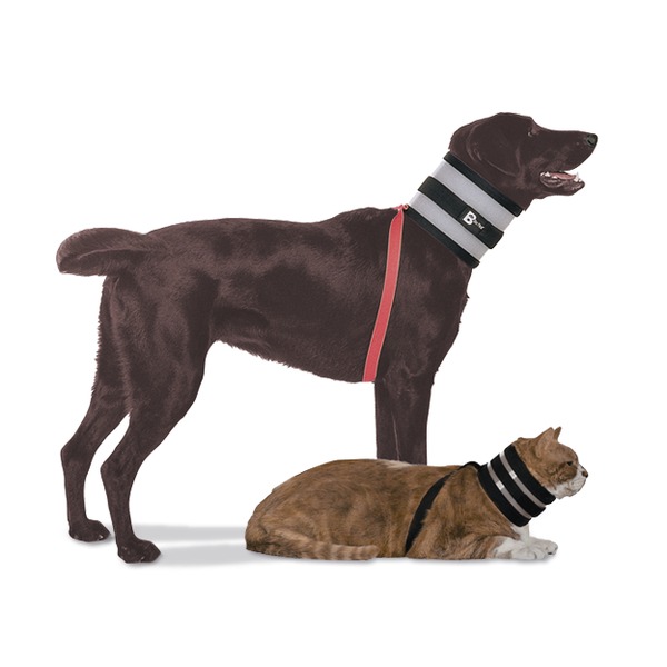 [DK]Halskraver BITE NOT, hund og kat